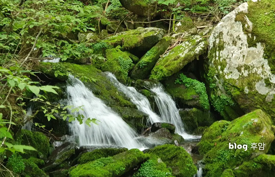 가리왕산 장구목이 코스